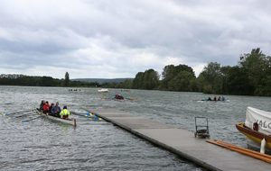 5d0005302f968_IMG3054.jpg