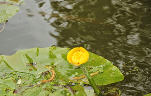 5f120933b08b2_IMG3405.JPG