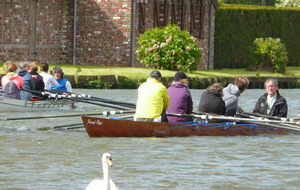 5f12093898ed4_Nnu2014JoelPrunier316.JPG