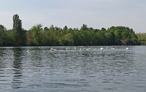 62874ab4dd710_IMG20220501115659.jpg