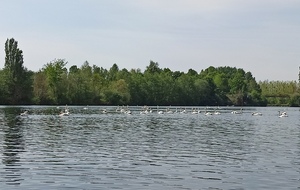 62874abd2c5b9_IMG20220501115704.jpg