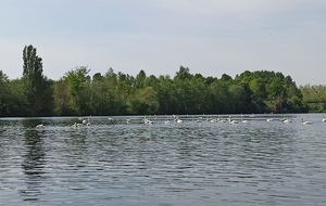 62874ac6541fe_IMG20220501115706.jpg